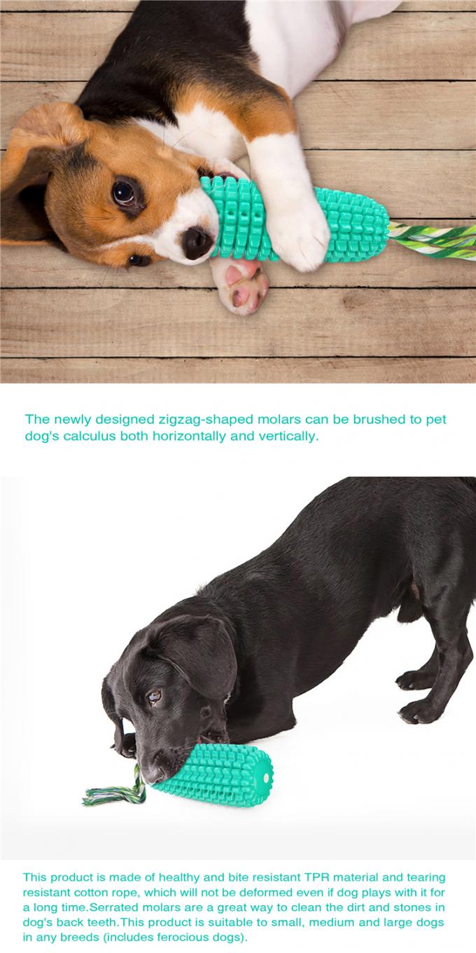 De Tandenborstel van de huisdierenhond kauwt Toy Puppy Chew Corn Toys met het Correcte van de de Honden Duurzame Kabel van Tpr Materiële Interactieve Stuk speelgoed