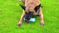 Manufacture Pet Product Durable Dog Chew Toys Rubber Bone For Dogs